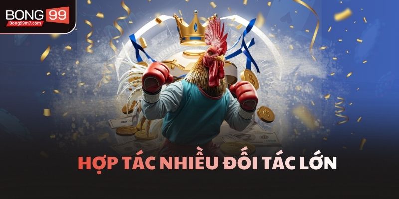 Hợp tác nhiều đối tác lớn